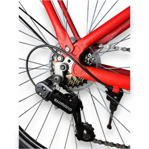 Bicicleta Urbana de Paseo Rodado 29 Fiat 500 con 7 Velocidades - Imagen 19