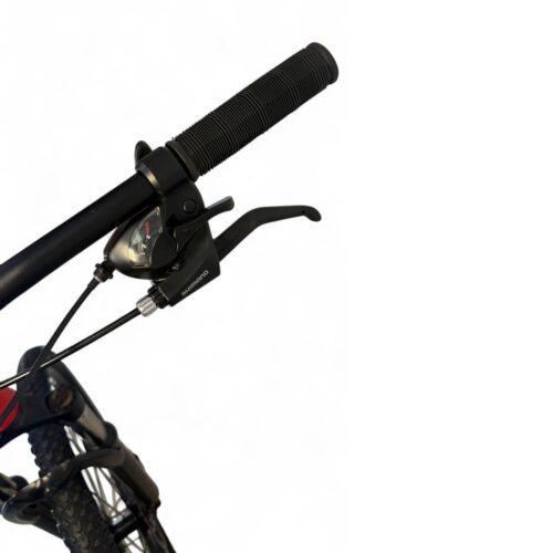 Bicicleta Urbana MTB Rodado 29 Fiat 500 Shimano 21 Velocidades - Imagen 16